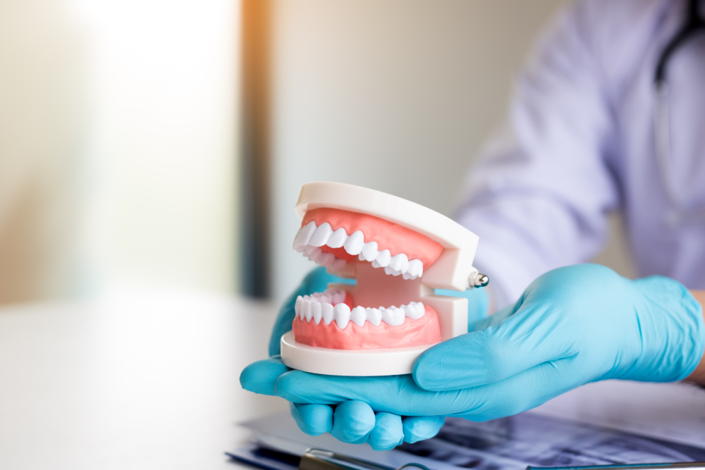 Full Dentures in La Mesa, CA: Upper and Lower Arch Model Dentist's gloved hands holding a model of upper and lower teeth beside X-rays, illustrating full dentures in La Mesa, CA